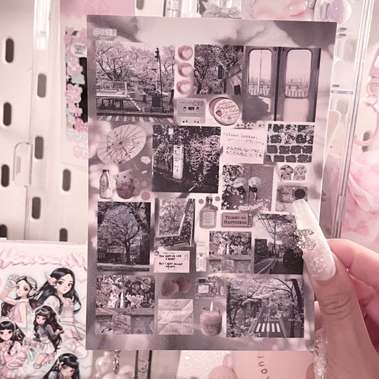 {c-艺术家} @0523 : cherry blossom