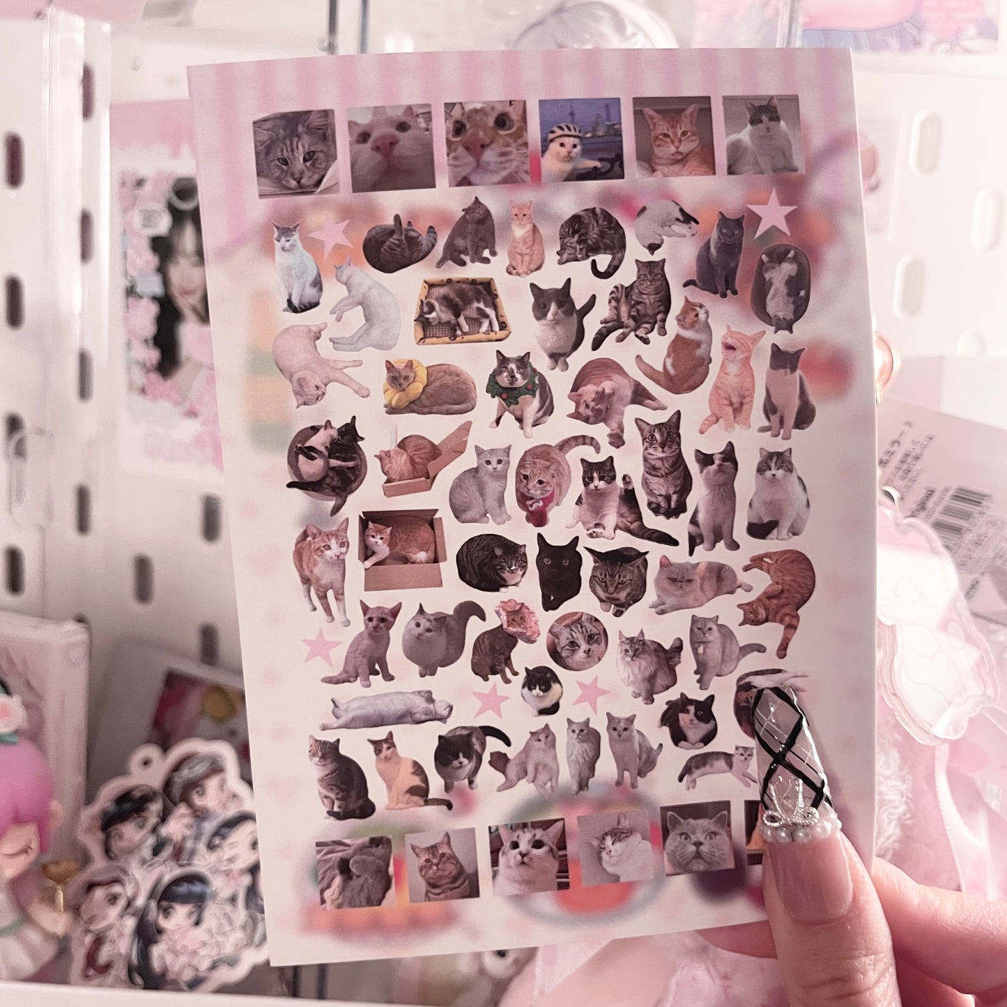 {c-艺术家} kitties : 7