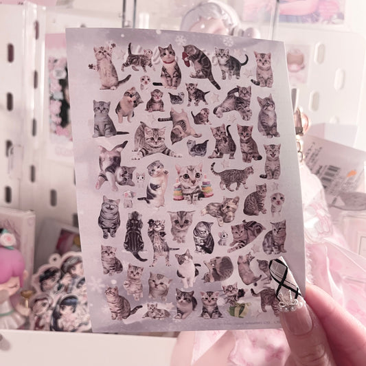 {c-艺术家} kitties : 5