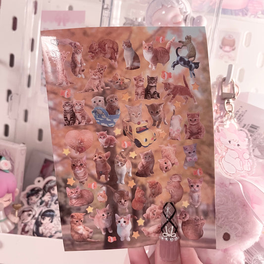 {c-艺术家} kitties : 4