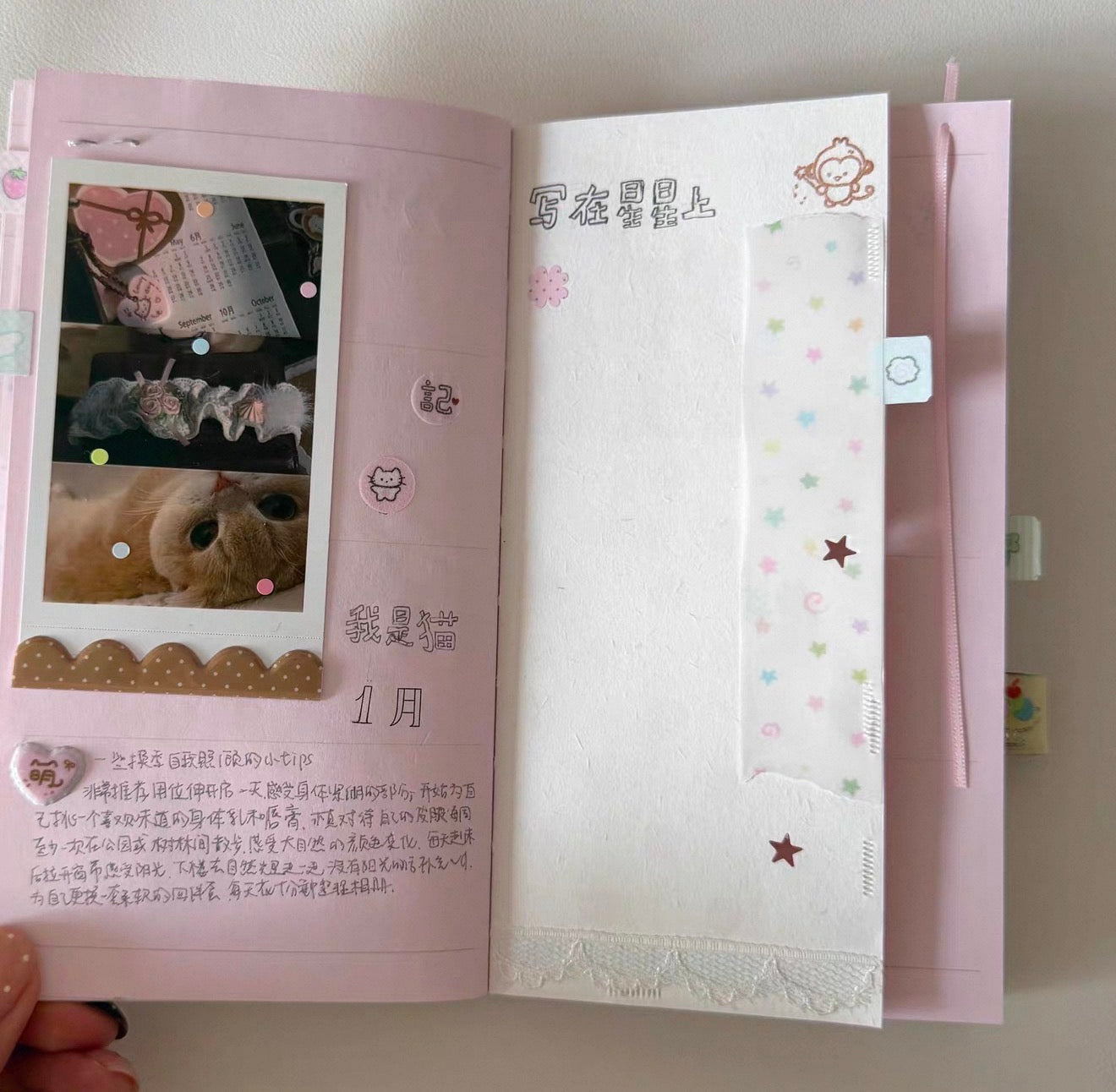 {heart bunny} stars and dots masking tape
