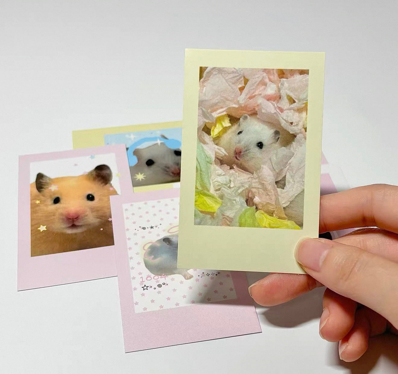 {bali studio} 6pc hamster polaroid set