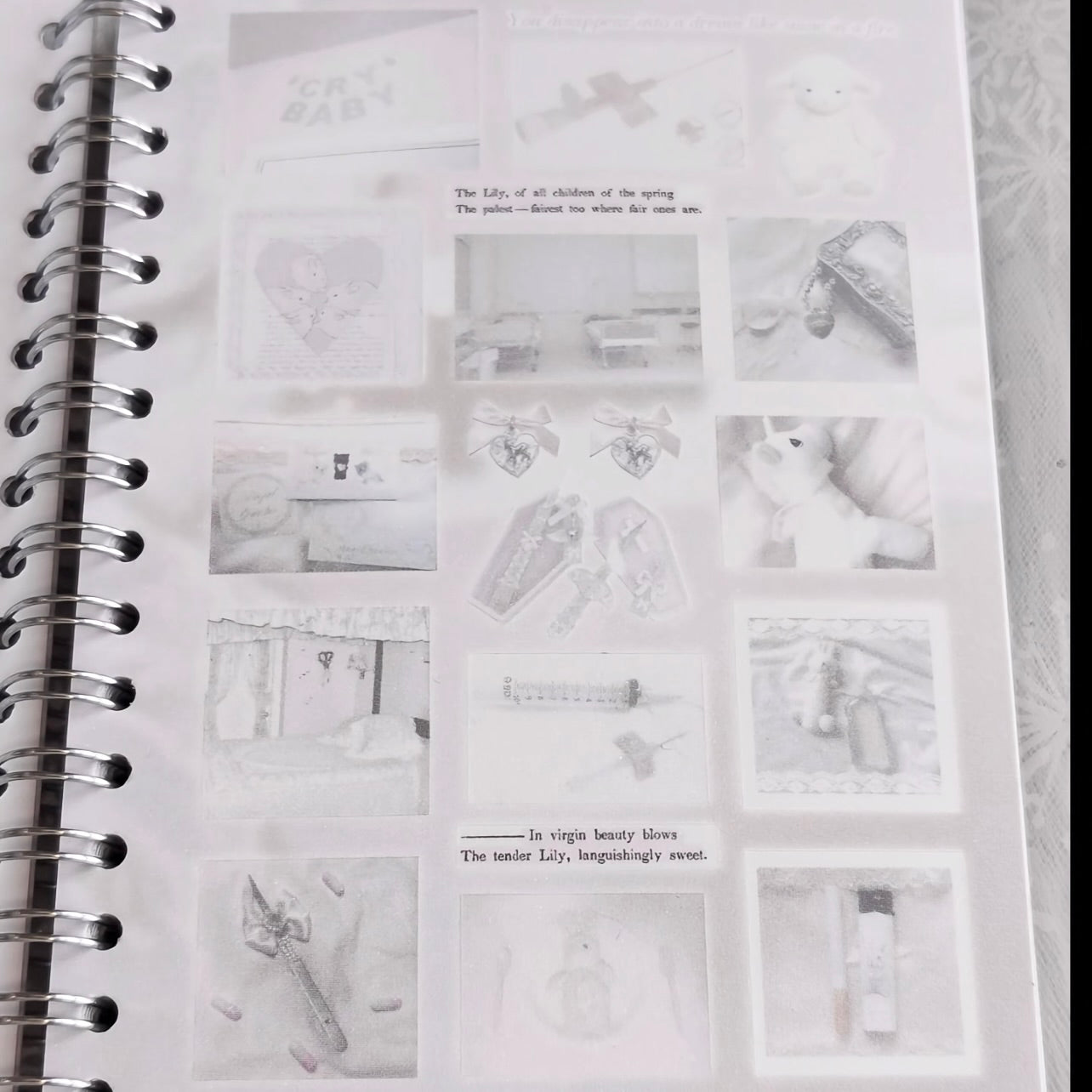 {c-艺术家} 40 page light coquette issue. 1/2 sticker book
