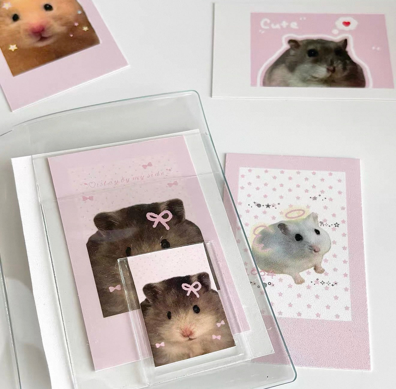 {bali studio} 6pc hamster polaroid set