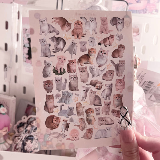 {c-艺术家} kitties : 3