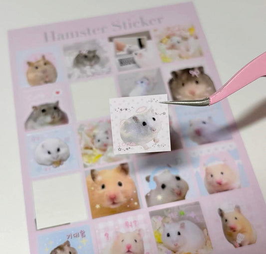 {bali studio} hamsters