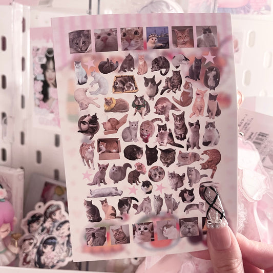 {c-艺术家} kitties : 7