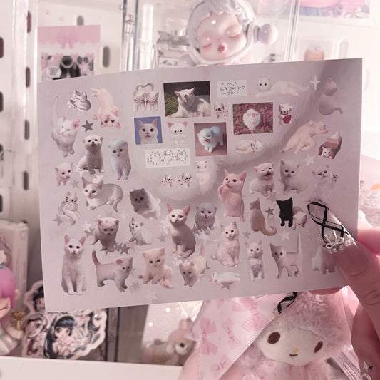 {c-艺术家} kitties : 2