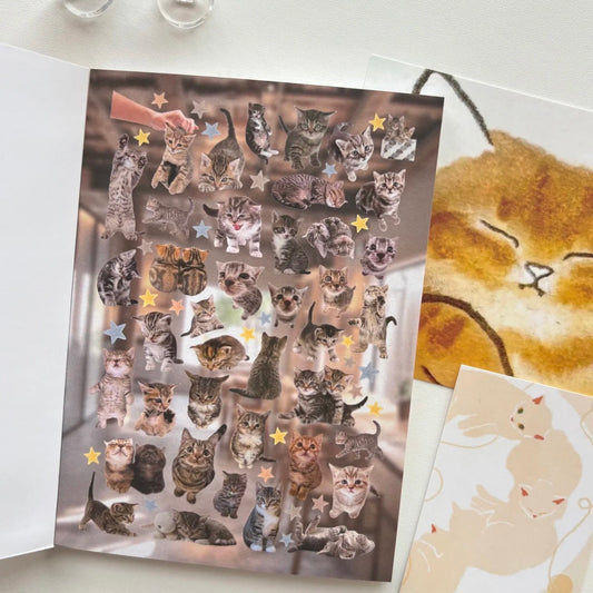 {c-贴纸书} 40 page kitty sticker book